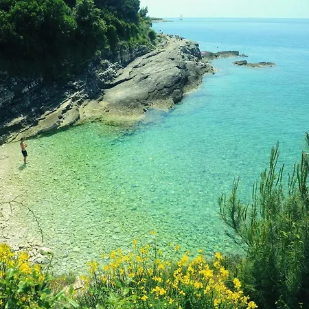 Apartmán Apartman Pivacic A5 *